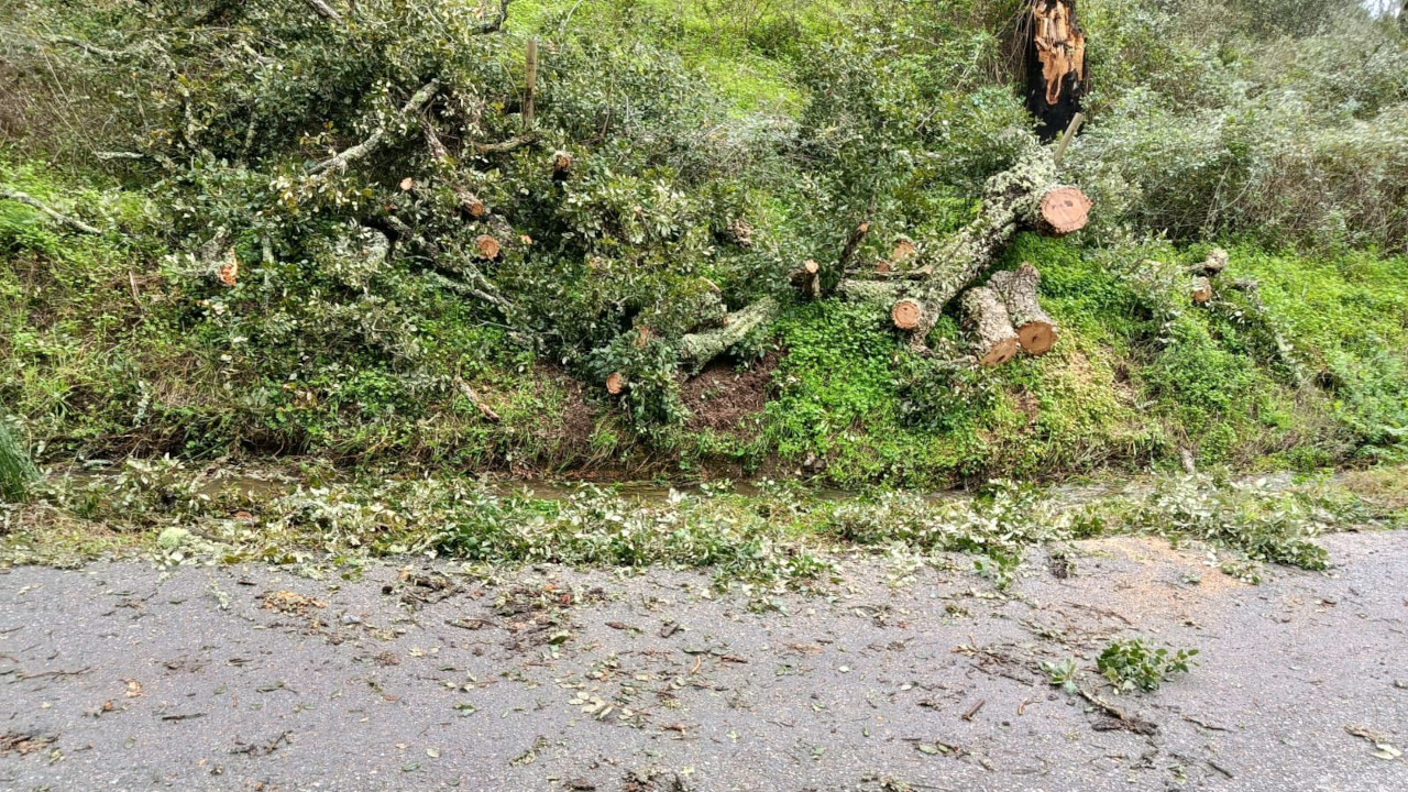 Último trabalhos de limpeza realizados nas freguesias